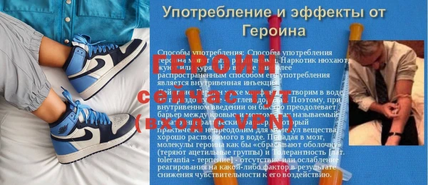 PSILOCYBIN Богородицк