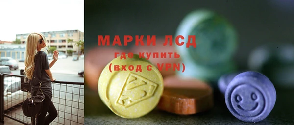 ГАЛЛЮЦИНОГЕННЫЕ ГРИБЫ Бородино