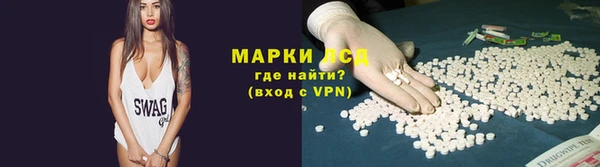 ГАЛЛЮЦИНОГЕННЫЕ ГРИБЫ Бородино