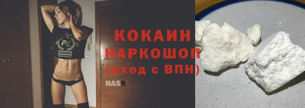 ГАЛЛЮЦИНОГЕННЫЕ ГРИБЫ Бородино