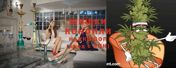 ГАЛЛЮЦИНОГЕННЫЕ ГРИБЫ Бородино