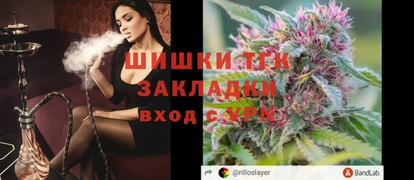 PSILOCYBIN Богородицк
