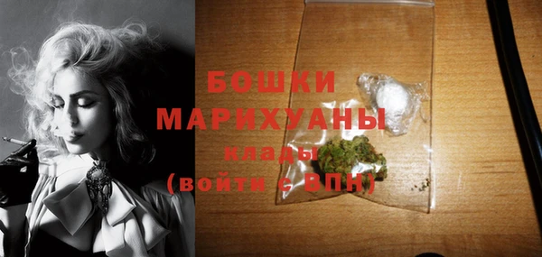 PSILOCYBIN Богородицк