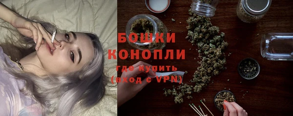 ГАЛЛЮЦИНОГЕННЫЕ ГРИБЫ Бородино