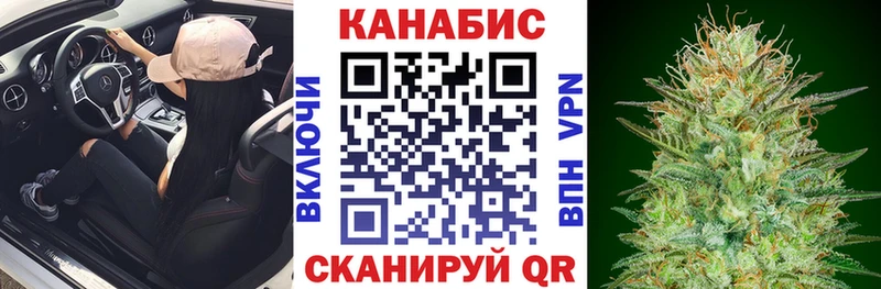 Марихуана планчик  кракен онион  Волосово 